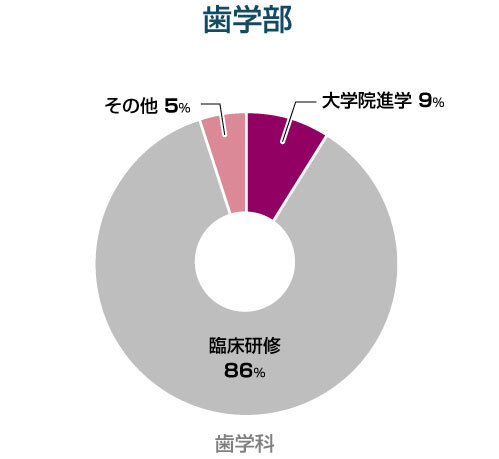 歯学部