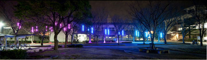ledxmas02s.jpg