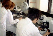 Expertimental training (microscope observation)