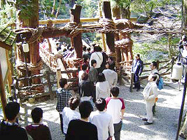 feild trip to Kazura-Bashi, a pedestrian bridge made of vine