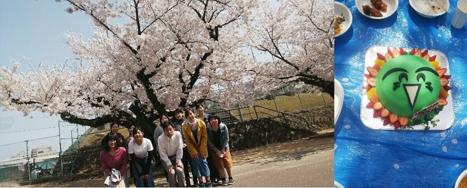 hanami2018.jpg