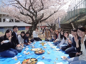 hanami3_2016.jpg