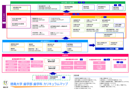 2019口腔保健学科カリキュラムマップ