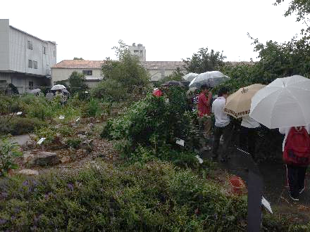 薬用植物園実習の様子1
