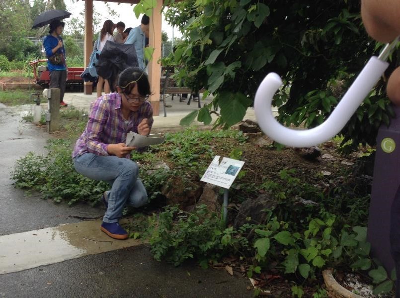 薬用植物園実習の様子2