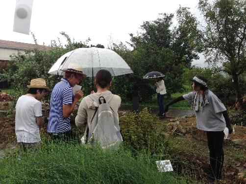 薬用植物園実習の様子3