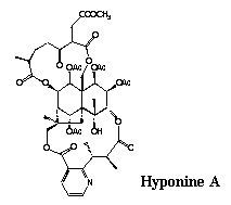 Htponine_Aの図