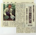 竹に関する記事
