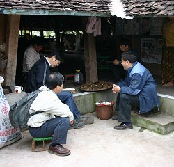 中国での調査中の写真