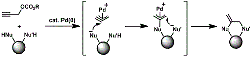 HeteroRev2013.gif