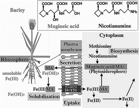 ChemRec2010.jpg