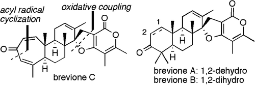 Brevione20JACS.gif