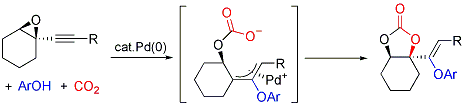 2007-Murao.gif