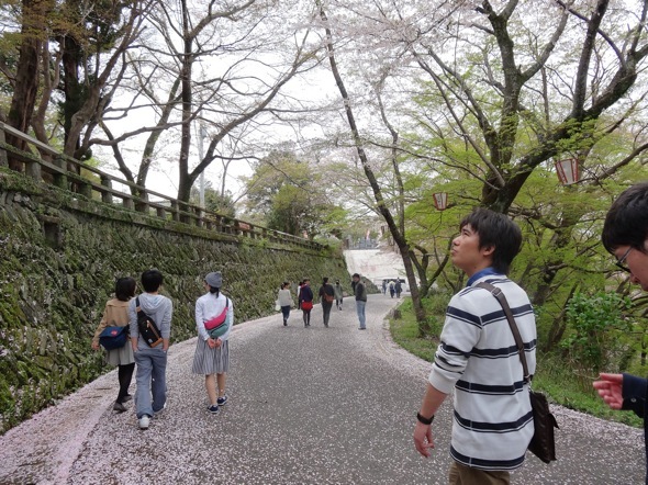 花見の様子1