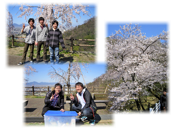 2011_hanami_002.jpg