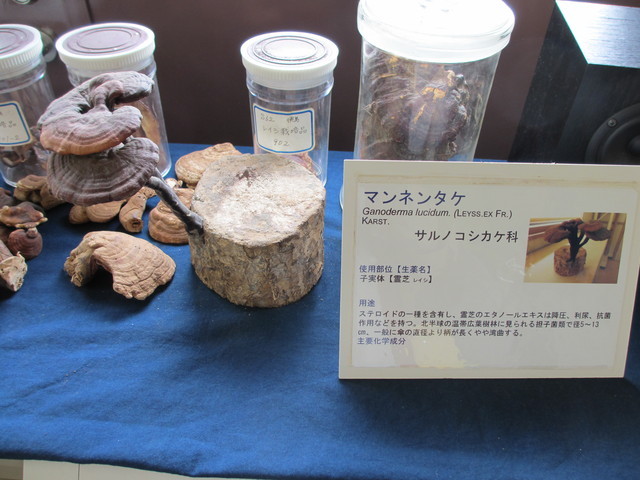 2016ippannkaihou14.JPG