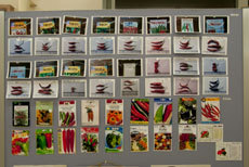 open_2011_004_s.jpg
