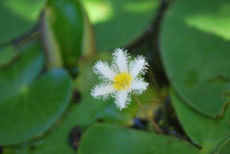 open_2011_009_s.jpg