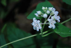 open_2011_010_s.jpg