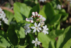 open_2011_012_s.jpg