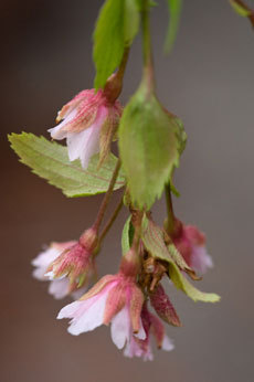 open_2011_014_s.jpg