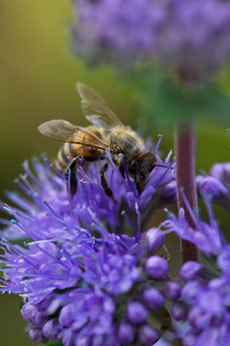 open_2011_015_s.jpg