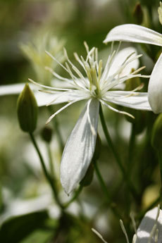 open_2011_031_s.jpg
