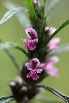 open_2011_034_s.jpg