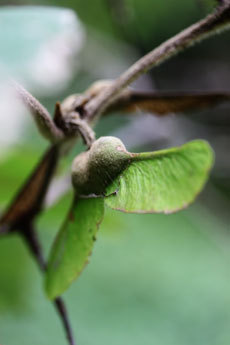 open_2011_036_s.jpg