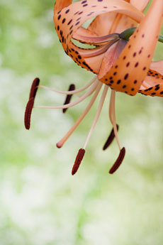 open_2011_037_s.jpg