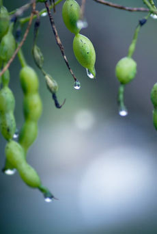 open_2011_038_s.jpg