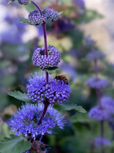 open_2011_039_s.jpg