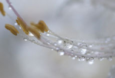 open_2011_040_s.jpg