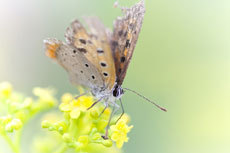 open_2011_043_s.jpg