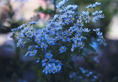 open_2011_049_s.jpg