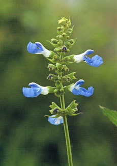 open_2011_058_s.jpg