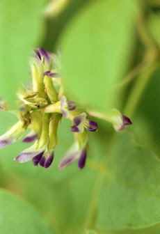 open_2011_061_s.jpg