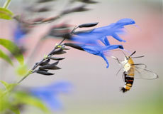 open_2011_064_s.jpg