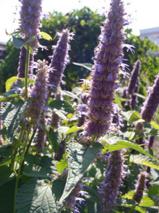 open_2011_073_s.jpg