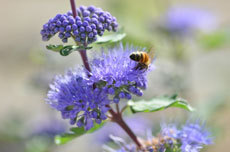 open_2011_081_s.jpg