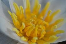 open_2011_082_s.jpg