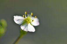 open_2011_083_s.jpg