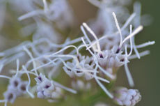 open_2011_084_s.jpg