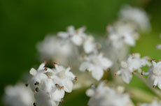 open_2011_085_s.jpg
