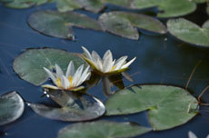 open_2011_087_s.jpg