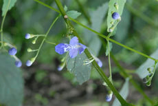 open_2011_091_s.jpg
