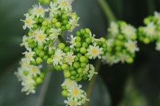 open_2011_092_s.jpg