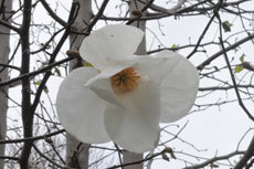 open_2011_093_s.jpg
