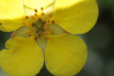 open_2011_096_s.jpg