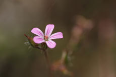 open_2011_097_s.jpg